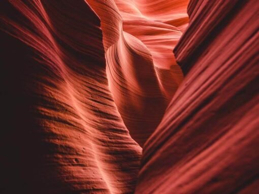 Landscape Project #05